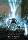 City of Fallen Souls - Book
