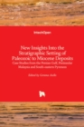 New Insights into the Stratigraphic Setting of Paleozoic to Miocene Deposits : Case Studies from the Persian Gulf, Peninsular Malaysia and South-Eastern Pyrenees - Book