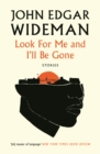 Look For Me and I'll Be Gone - eBook