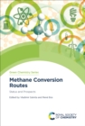 Methane Conversion Routes : Status and Prospects - eBook