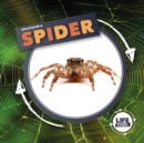 Life Cycle Of A Spider - Book