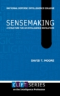 Sensemaking : A Structure for an Intelligence Revolution - Book