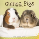 Guinea Pigs 2021 Wall Calendar - Book