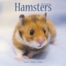 Hamsters 2021 Wall Calendar - Book
