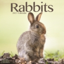 Rabbits 2021 Wall Calendar - Book