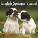 English Springer Spaniel Puppies Mini Square Wall Calendar 2021 - Book