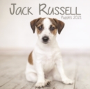 Jack Russell Puppies Mini Square Wall Calendar 2021 - Book