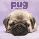 Pug Puppies Mini Square Wall Calendar 2021 - Book