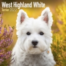 West Highland White Terrier 2022 Wall Calendar - Book
