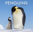 Penguins 2022 Wall Calendar - Book