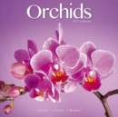 Orchids 2022 Wall Calendar - Book