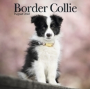 Border Collie Puppies Mini Square Wall Calendar 2022 - Book
