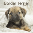 Border Terrier Puppies Mini Square Wall Calendar 2022 - Book