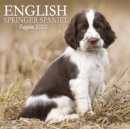 English Springer Spaniel Puppies Mini Square Wall Calendar 2022 - Book