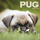 Pug Puppies Mini Square Wall Calendar 2022 - Book