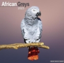 African Greys 2023 Wall Calendar - Book