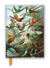 Ernst Haeckel: Hummingbirds (Foiled Journal) - Book