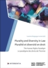 Plurality and Diversity in Law : The Human Rights Paradigm - Book