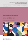 European Sales Law : Challenges in the 21st Century - Book