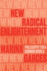 New Radical Enlightenment : Philosophy for a Common World - Book