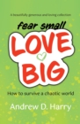 fear small LOVE BIG - eBook