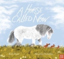 A Horse Called Now - Book