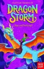 Dragon Storm: Skye and Soulsinger - Book