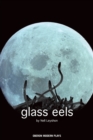 Glass Eels - Book