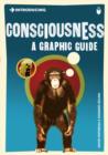 Introducing Consciousness : A Graphic Guide - eBook