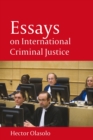Essays on International Criminal Justice - Book