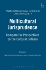 Multicultural Jurisprudence : Comparative Perspectives on the Cultural Defense - Book