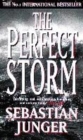 The Perfect Storm - Book