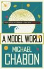 A Model World - Book