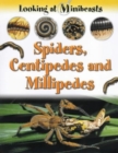 MINIBEASTS SPIDERS CENTIPEDES - Book