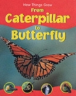 From Caterpillar to Butterfly - Book