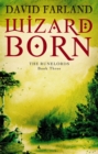 Wizardborn : Book 3 of the Runelords - Book