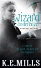 Wizard Undercover : Book 2 of the Rogue Agent Novels - Book