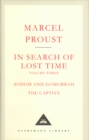 In Search Of Lost Time Volume 3 - Book