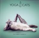 Yoga Cats : The Purrfect Workout - Book