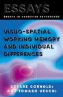 Visuo-spatial Working Memory and Individual Differences - Book