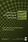 Advances in Morphological Processing : A Special Issue of Language and Cognitive Processes - Book