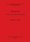 Meinarti III: The Late and Terminal Christian Phases : The Late and Terminal Christian Phases - Book