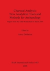 Charcoal Analysis: New Analytical Tools and Methods for Archaeology : Papers from the Table-Ronde held in Basel 2004 - Book