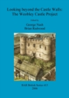 Looking beyond the Castle Walls: The Weobley Castle Project - Book