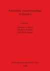 Paleolithic Zooarchaeology in Practice - Book