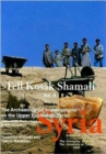 Tell Kosak Shamali Vol II : The Archaeological Investigations on the Upper Euphrates, Syria. Chalcolithic Technology and Subsistence - Book