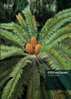 CITES and Cycads : A User's Guide - Book