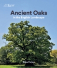 Ancient Oaks in the English landscape : In the English landscape - Book