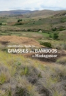 Identification Guide to Grasses and Bamboos in Madagascar - Book