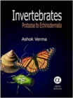 Invertebrates : Protozoa to Echinodermata - Book